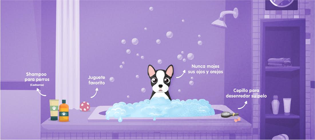 Bañando a tu cachorro por primera vez