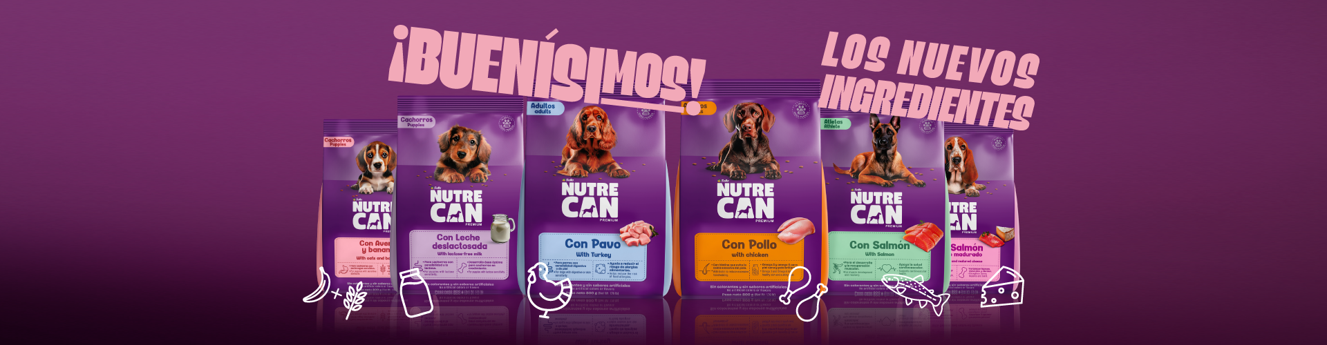 Banner- NutreCan
