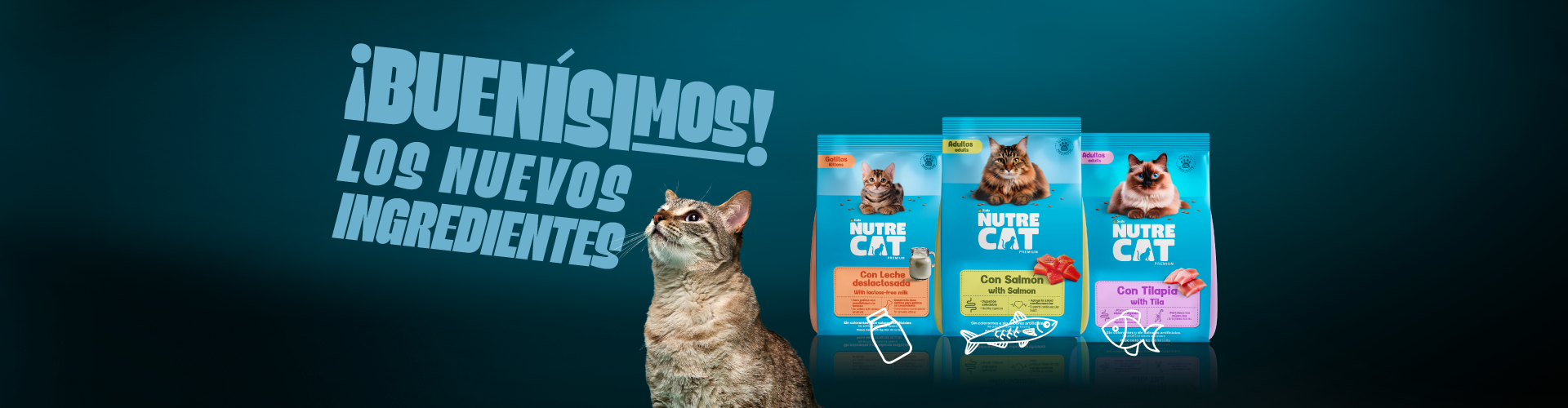 Banner- NutreCat