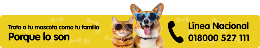 Banners-linea-nacional-Nutrecan-croquetas
