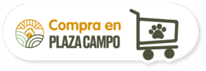 Bt-plaza-campo