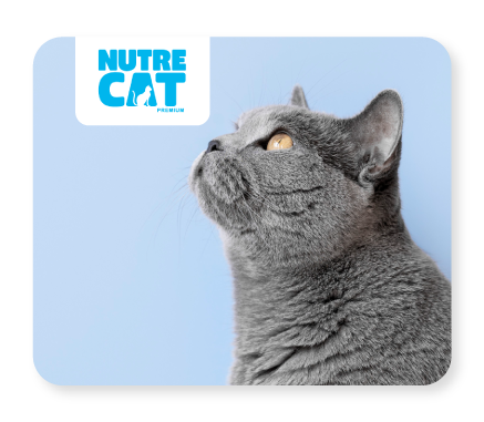 Pro-Nutrecat