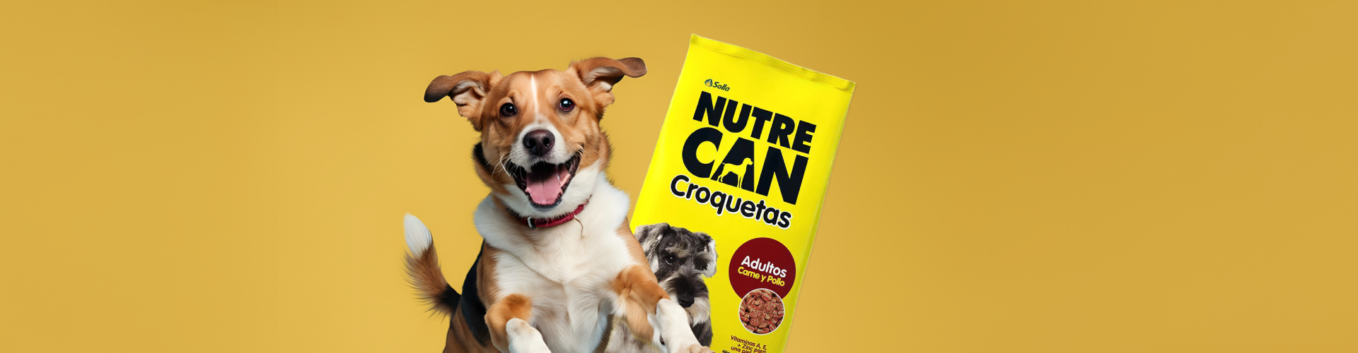 Croquetas