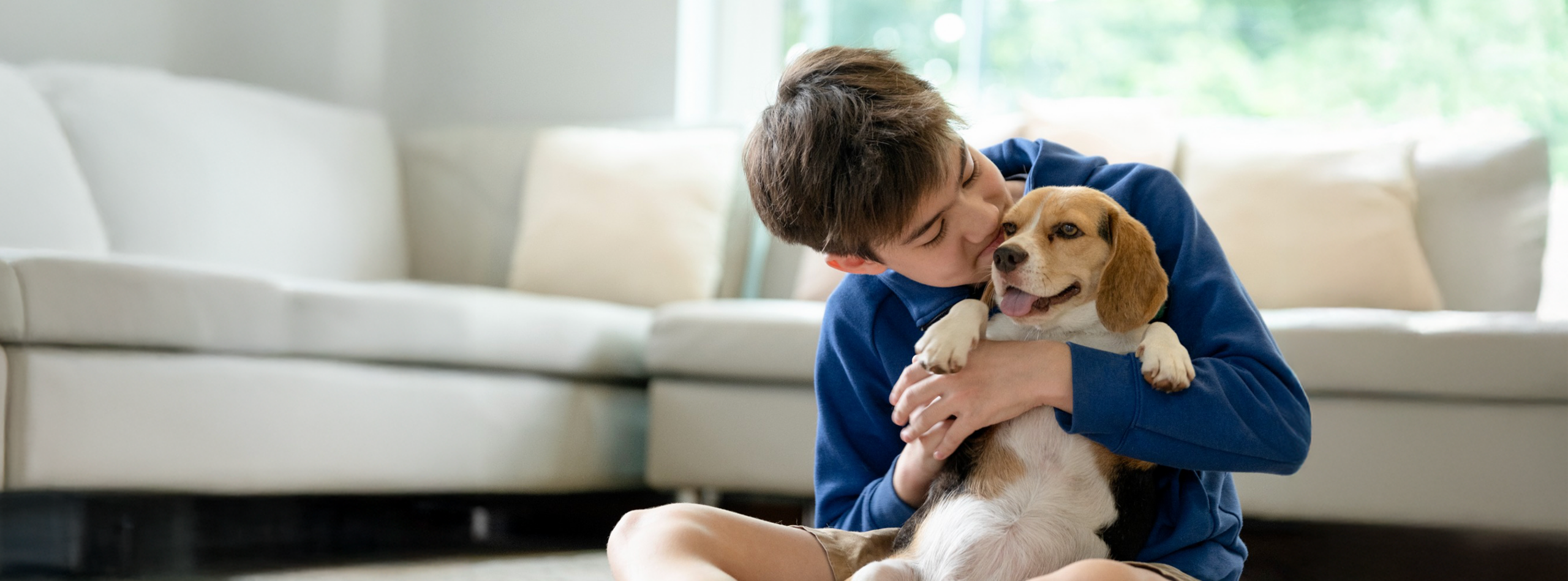 Abrazar a tu perro-el poder curativo del amor peludo
