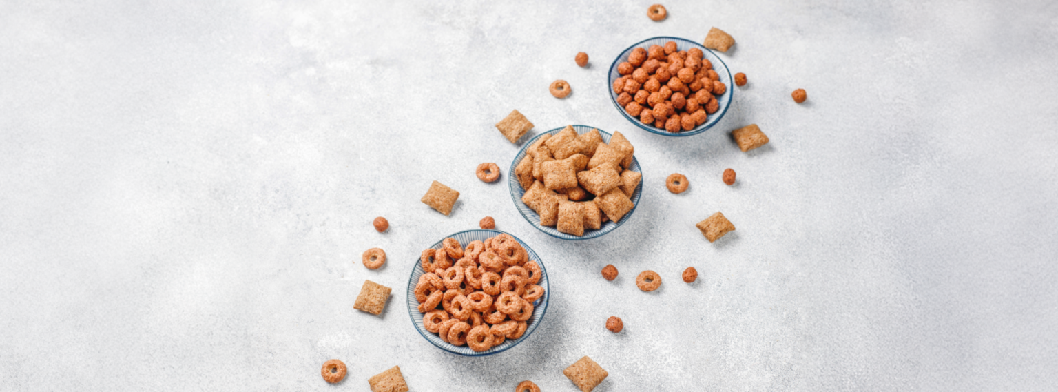 Cómo elegir el mejor plato para tu perro: guía Nutrecan Croquetas para una alimentación saludable