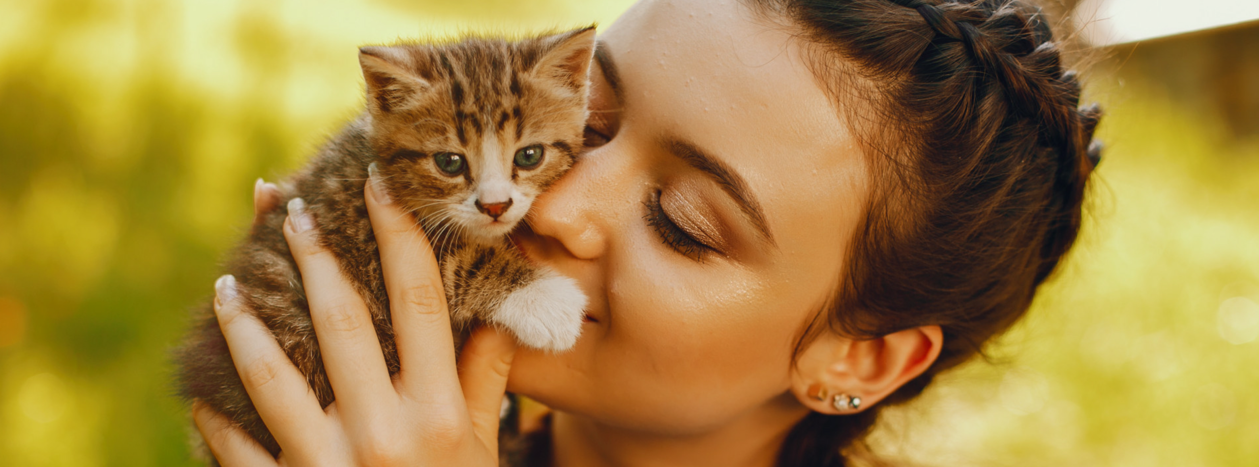 Gato acariciando a su dueño y mostrando señales de amor, confianza y vínculo afectivo.