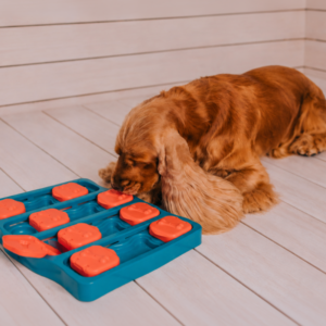 Perro utilizando un juguete interactivo para estimular su mente y desarrollar sus capacidades cognitivas