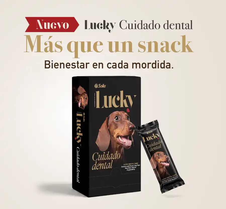 Una fotografía del empaque original de Lucky Cuidado Dental acompañado de un perro sonriente y una barra del snack en primer plano