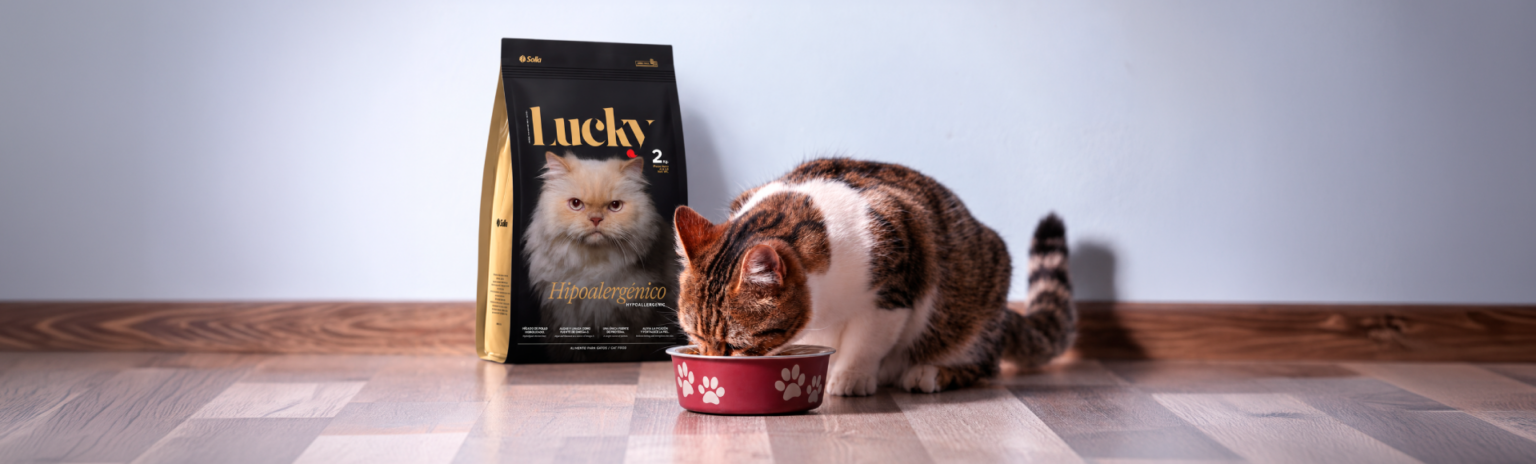 Un gato frente a su plato de comida rascándose una oreja con la pata. Al lado, el empaque de Lucky Gatos Hipoalergénico.