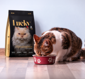 Un gato frente a su plato de comida rascándose una oreja con la pata. Al lado, el empaque de Lucky Gatos Hipoalergénico.